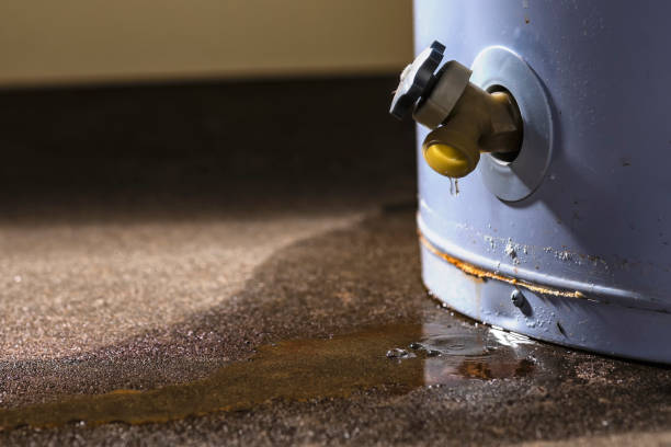 Best 24-hour water damage restoration  in La Homa, TX