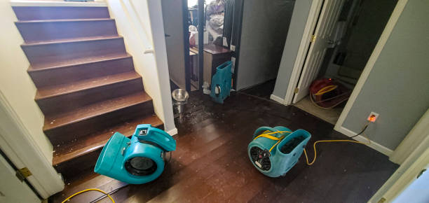 Best Emergency water damage restoration  in La Homa, TX