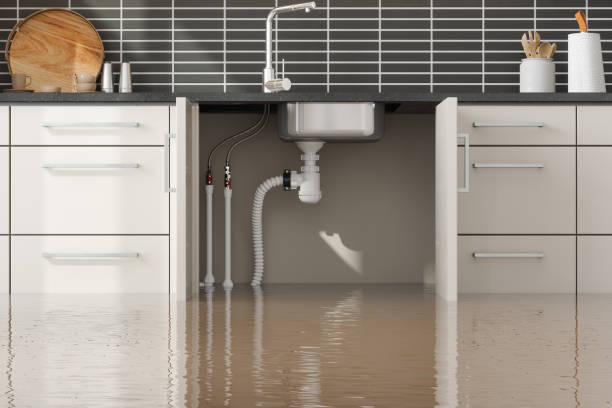 Best Water damage restoration mold remediation  in La Homa, TX