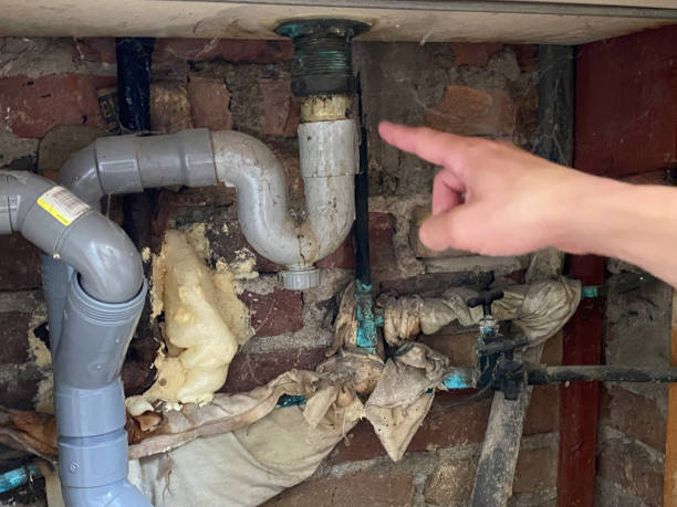 Best Water damage cleanup near me  in La Homa, TX