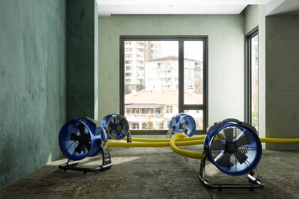 Best Water damage restoration near me  in La Homa, TX